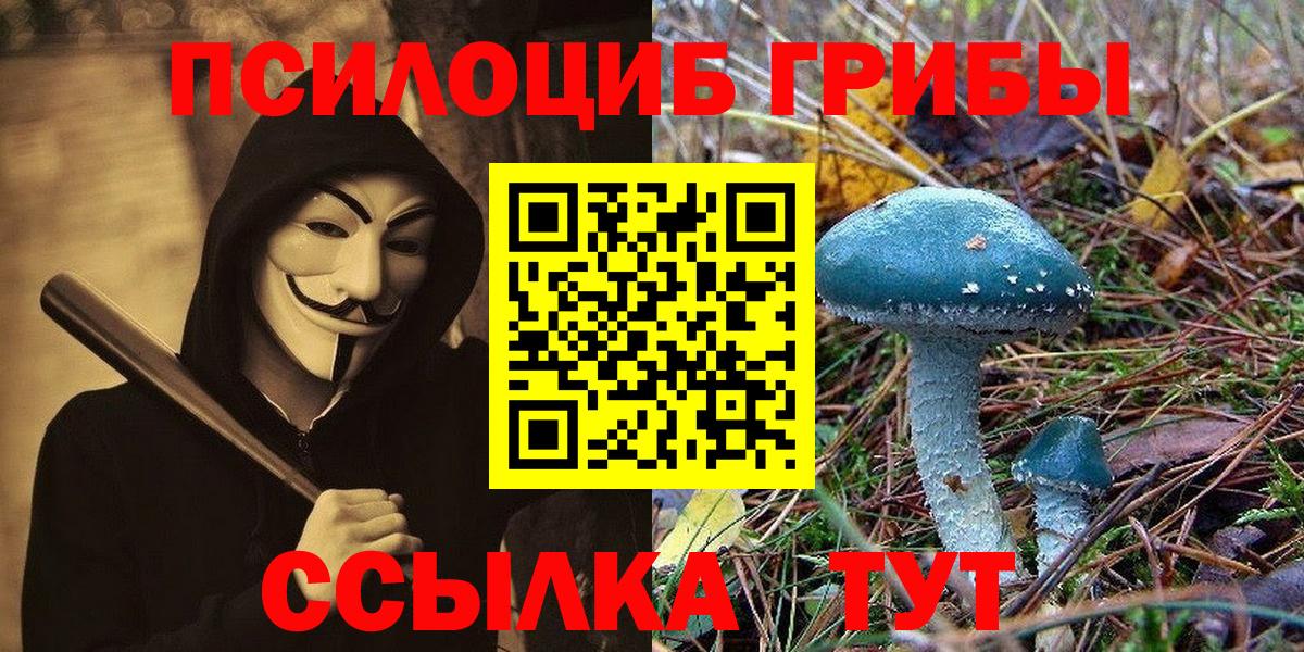 Энгельс  Псилоцибиновые грибы MAGIC MUSHROOMS  Вход с VPN  Псилоцибиновые грибы GOLDEN TEACHER 